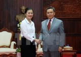 越南祖国阵线与老挝建国阵线合作 加大2017年各大事件宣传力度