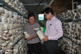 Tín dụng cho vay giải quyết việc làm: Góp sức cho nhiều gia đình vươn lên