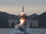 Quan chức Mỹ: Tên lửa Triều Tiên đã rơi xuống Biển Nhật Bản