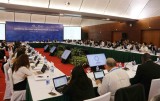APEC贸易和投资委员会就亚太地区经济整合进行讨论