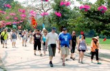 2017年前5个月赴越南旅游的国际游客骤增
