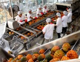 Xuất khẩu rau, quả trong năm tháng đầu năm ước đạt hơn 1 tỷ USD