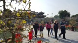 越南承天顺化省接待游客量约达150万人次