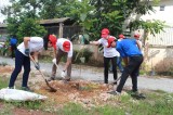 200 cây xanh được trồng tại xã Vĩnh Tân trong chương trình “Chung tay vì môi trường xanh”