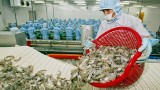 澳大利亚同意再进口越南加工虾类产品
