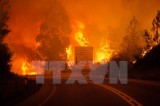 Cháy rừng dữ dội khiến ít nhất 19 người thiệt mạng tại Bồ Đào Nha