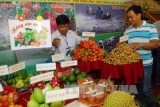 First agricultural trade fair opens in An Giang