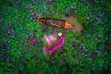 Vietnamese wins prize at int’l flycam photography contest