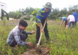 Xã đoàn Định An (Dầu Tiếng): Thực hiện công trình thanh niên trồng 200 cây xanh