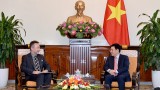 越南政府副总理和国防部部长分别会见捷克和美国驻越南大使