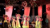 越南参加在罗马尼亚举行的2017年国际民俗节