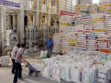 Cơ hội cho doanh nghiệp xuất khẩu gạo sang thị trường Bangladesh
