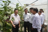 Central Public Relations Committee’s delegation works with Phu Giao district