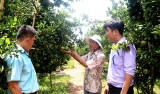 Building brand name of North Tan Uyen citrus fruits