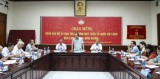 Delegation of VFF Central Committee works with Binh Duong