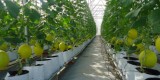 Capital for high-tech agriculture
