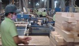 木业企业：要解决提高生产率的问题