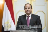 Egyptian President to pay State visit to Vietnam