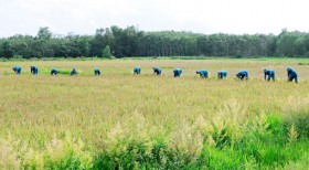 Những kết quả nổi bật trong phong trào thi đua quyết thắng