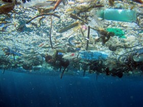 East Asian countries join hands to fight plastic waste in ocean