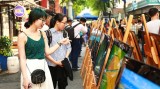 “2017年俯拍越南”图片展在胡志明市书街举行