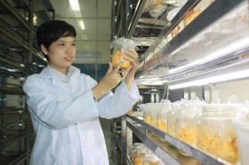 Người đưa khoa học gần gũi với cuộc sống