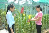 An Son Commune (Thuan An Town) to facilitate the development of cooperative economy