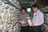 Social Policy Bank of Binh Duong Province always strives for poverty reduction