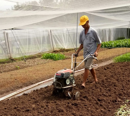 Hội nông dân phường Thạnh Phước, Tx.Tân Uyên: Tư vấn, hỗ trợ nông dân phát triển sản xuất