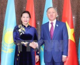 越南国会主席阮氏金银与哈萨克斯坦马吉利斯议长努尔兰•尼格马图林举行会谈