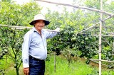Breakthrough way of Binh Duong’s agriculture