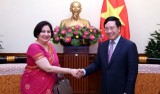 越南政府副总理兼外交部长范平明会见印度外交部副部长普里特•萨兰