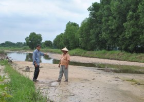 Ruộng đồng bỏ hoang vì ngập úng