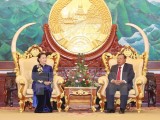 Chủ tịch Quốc hội chào xã giao Tổng Bí thư, Chủ tịch nước Lào