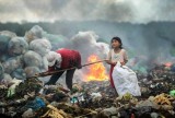 越南作品在国际环境摄影师大赛中荣获一等奖