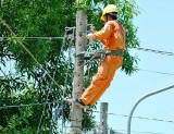 Điện lực Phú Giáo: Nâng cao hiệu quả quản lý vận hành cung cấp điện