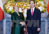 Vietnam, Chile Presidents discuss measures to forge bilateral ties