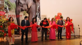 “西原大象”展亮相首都河内