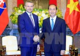 越南国家主席陈大光会见斯洛伐克副总理佩特尔•佩列格里尼