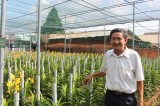 Binh Duong’s urban agriculture develops strongly