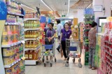 Vietnamese goods enjoy promotion gains