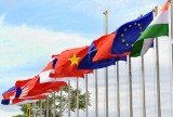 2017年越南与一些伙伴国的外交关系连结硕果