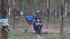 Lực lượng vũ trang tỉnh: Tăng cường bảo đảm an ninh trật tự