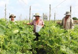 Quỹ Hỗ trợ nông dân: Tiếp sức nông dân làm giàu