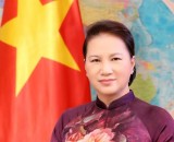 阮氏金银：越南国会一定出色地完成所交付的工作任务 不愧于党、国家和人民的信任