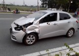 Bò thả rong băng qua đường gây tai nạn với xe ô tô: Chủ xe ô tô đi đòi lại xác con bò