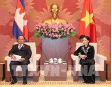 Vietnam, Cambodia legislators pledge to boost ties