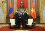 President Quang upbeat about growing Vietnam-Mongolia ties