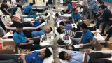 Hơn 200 đoàn viên thanh niên Đoàn khối Các cơ quan tỉnh tham gia hiến máu tình nguyện
