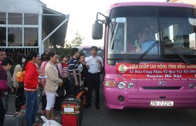 Mang xuân về quê